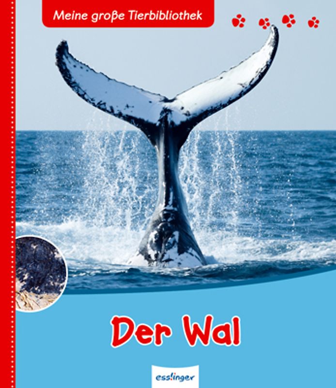 Meine große Tierbibliothek: Der Wal