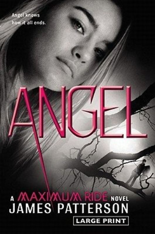 Angel: A Maximum Ride Novel - James Patterson