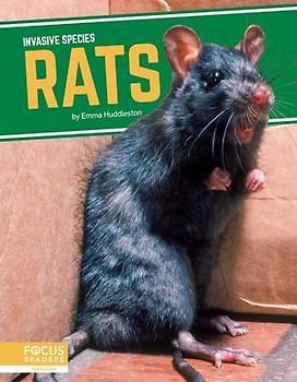 Rats