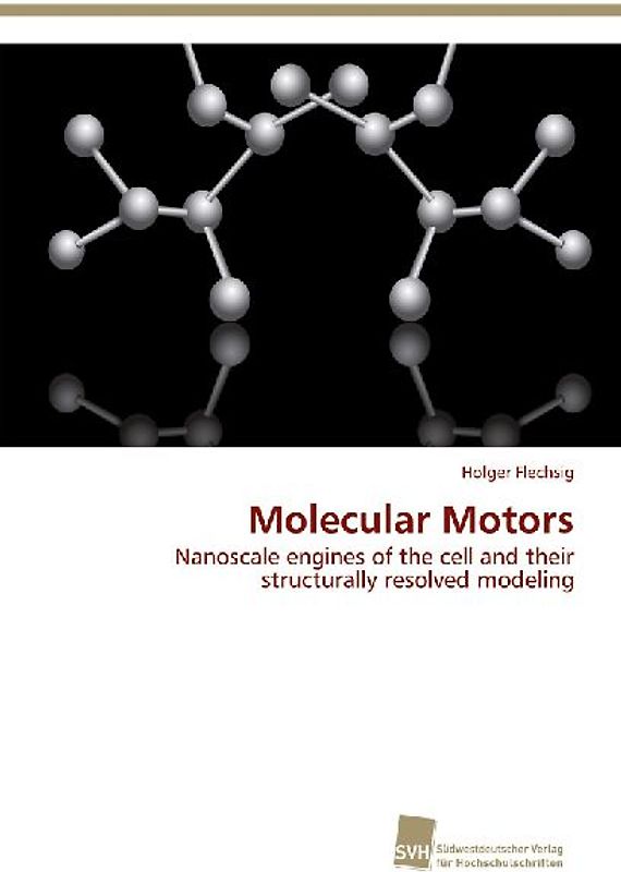 Molecular Motors
