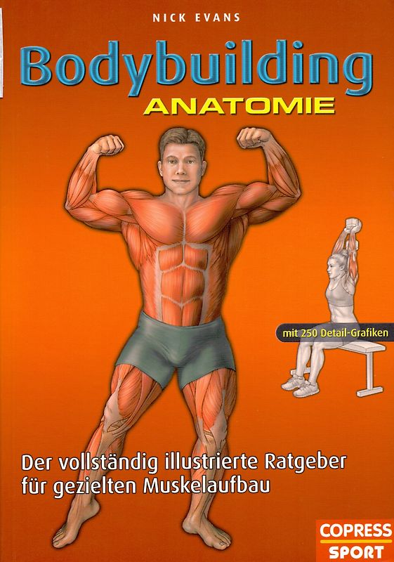 Bodybuilding Anatomie