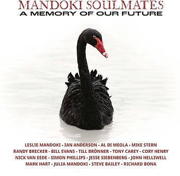 A Memory Of Our Future