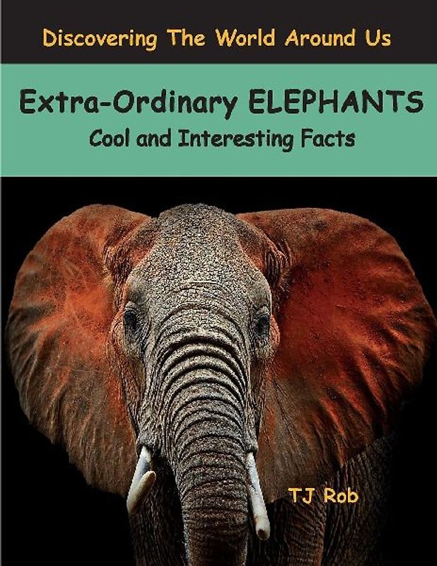 Extra-Ordinary Elephants