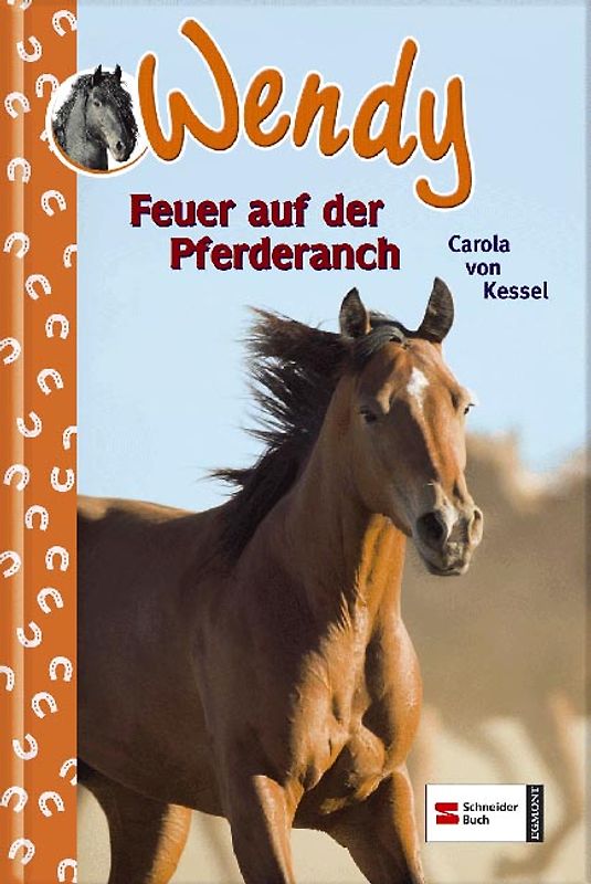 Wendy, Band 20. Feuer auf der Pferderanch
