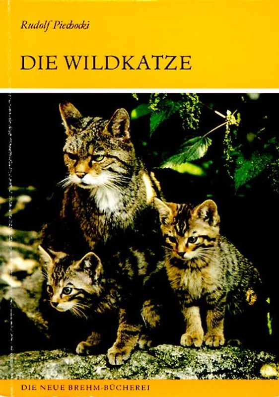Die Wildkatze. Felis sylvestris