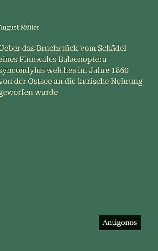Ueber das Bruchstück vom Schädel eines Finnwales Balaenoptera syncondylus welches im Jahre 1860 von der Ostsee an die kurische Nehrung geworfen wurde