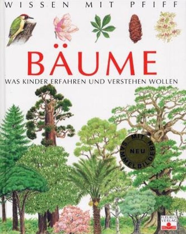 Bäume