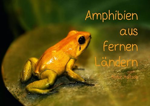 Amphibien aus fernen Ländern (Posterbuch DIN A2 quer)