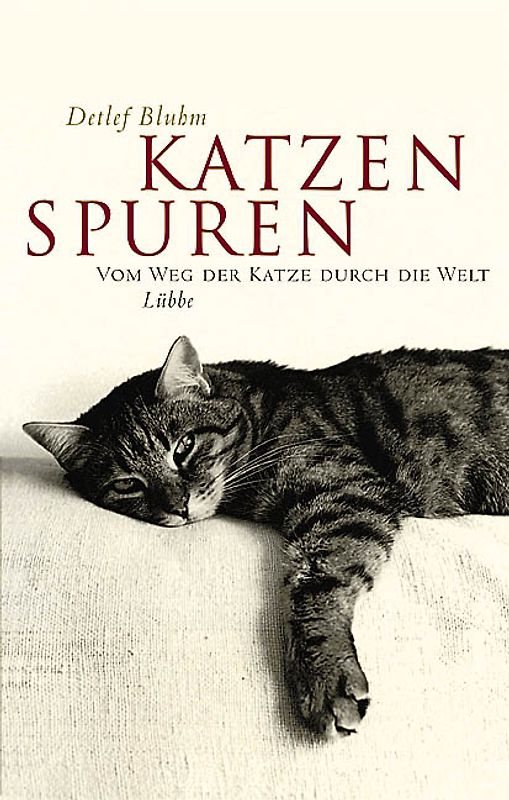 Katzenspuren