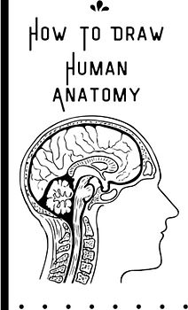How to Draw Human Anatomy