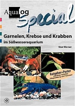 Garnelen, Krebse und Krabben im Süsswasseraquarium