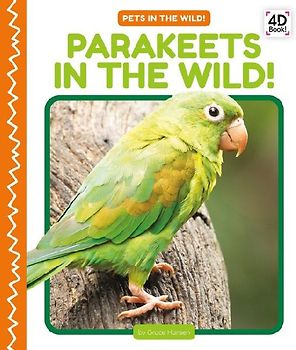 Parakeets in the Wild!