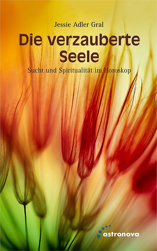 Die verzauberte Seele