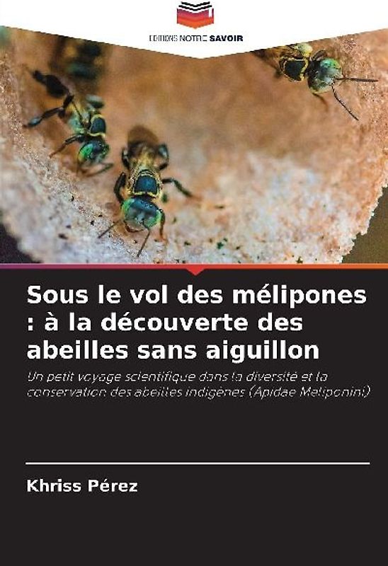 Sous le vol des mélipones : à la découverte des abeilles sans aiguillon