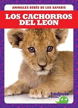 Los Cachorros del León (Lion Cubs)