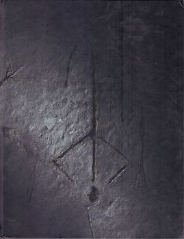 Bloodborne: Collector's Edition Guide - Das offizielle Lösungsbuch [Gebundene Ausgabe]