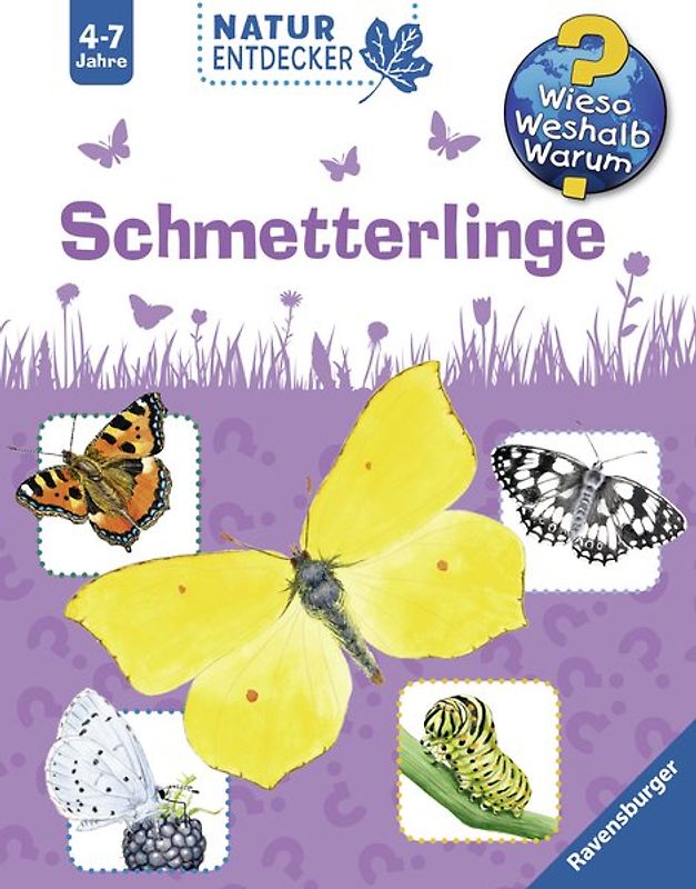 Schmetterlinge