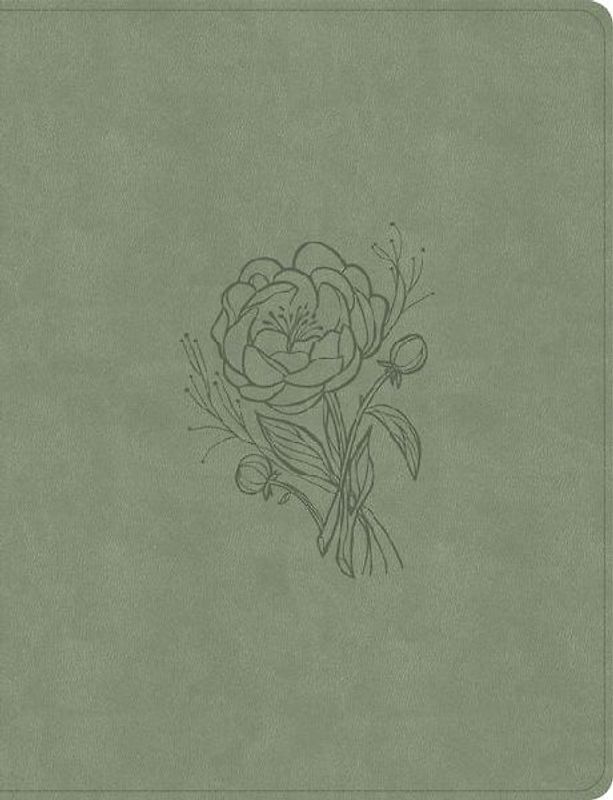 KJV Notetaking Bible, Large Print Edition, Sage Suedesoft Leathertouch