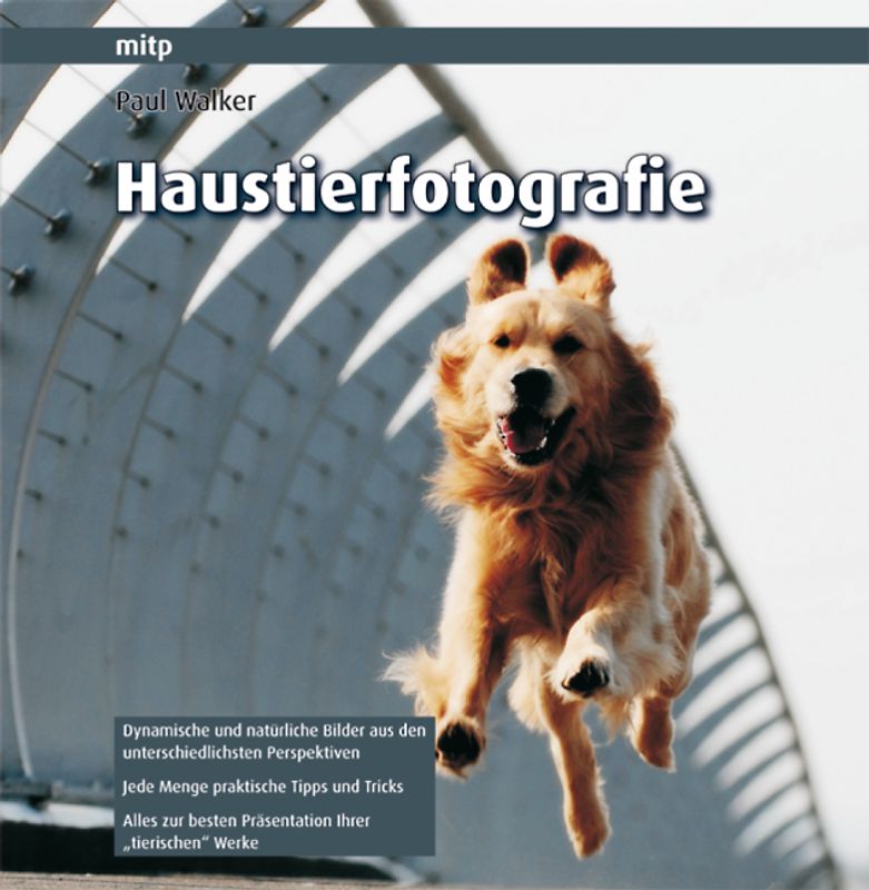 Haustierfotografie