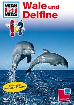 Was ist was: Wale und Delphine DVD