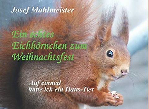 Ein echtes Eichhörnchen zum Weihnachtsfest: Auf einmal hatte ich ein Haus-Tier