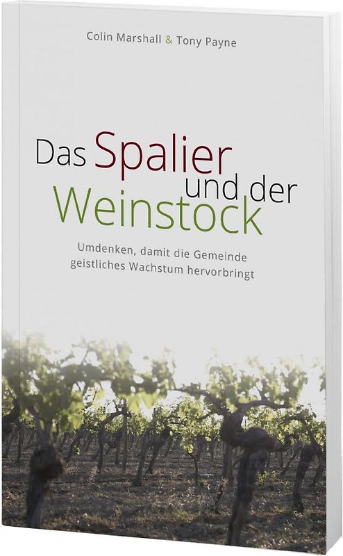 Das Spalier und der Weinstock