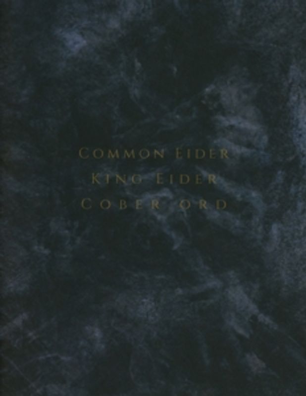 Palimpseste - Common Eider,King Eider & Cober Ord