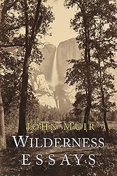 Wilderness Essays (Abingdon Pillars of Theology)