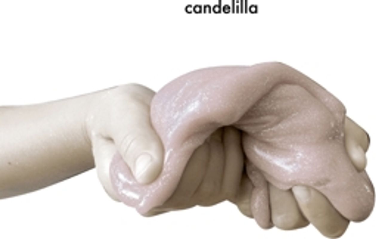 Candelilla - Camping