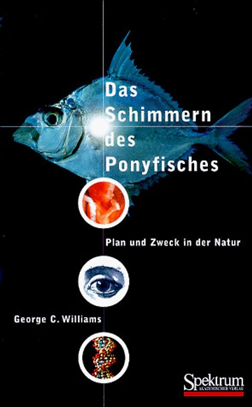 Das Schimmern des Ponyfisches