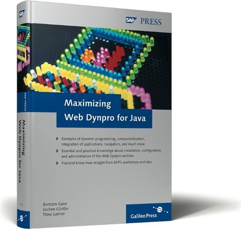 Maximizing Web Dynpro for Java