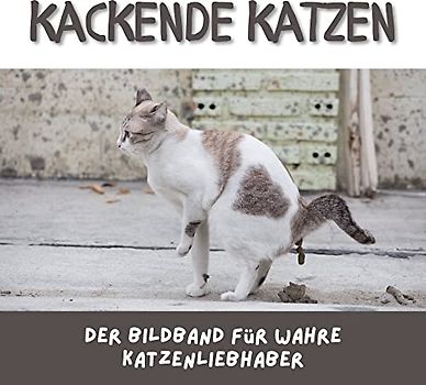 Kackende Katzen