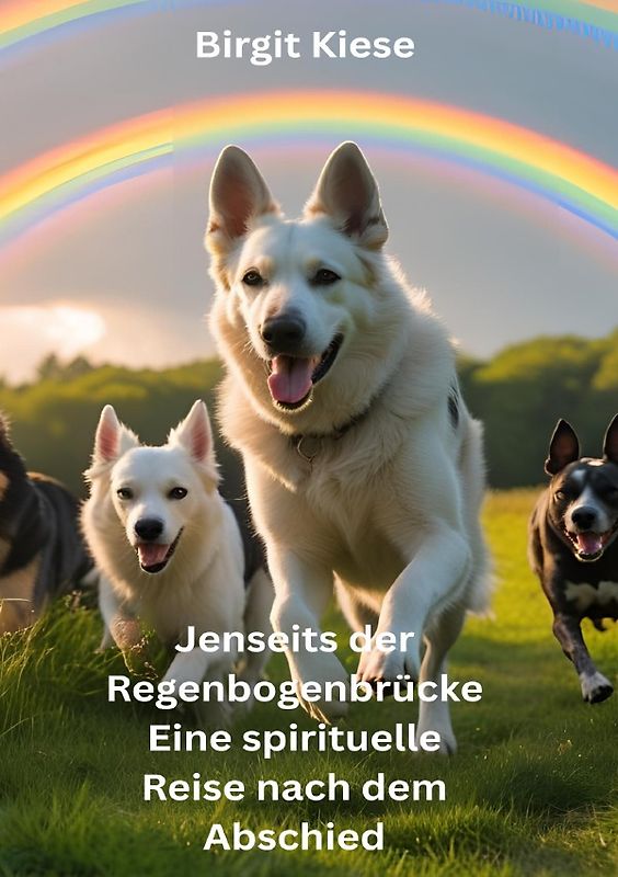 Jenseits der Regenbogenbrücke - Eine spirituelle Reise nach dem Abschied