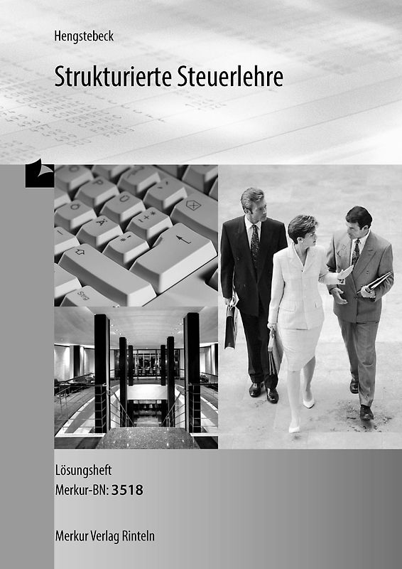 Strukturierte Steuerlehre