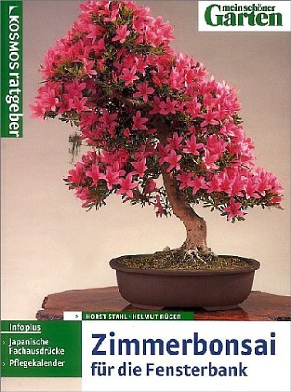 Zimmerbonsai für die Fensterbank