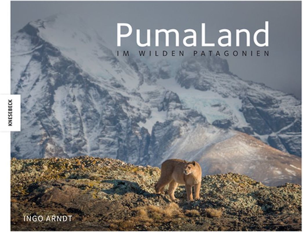 PumaLand