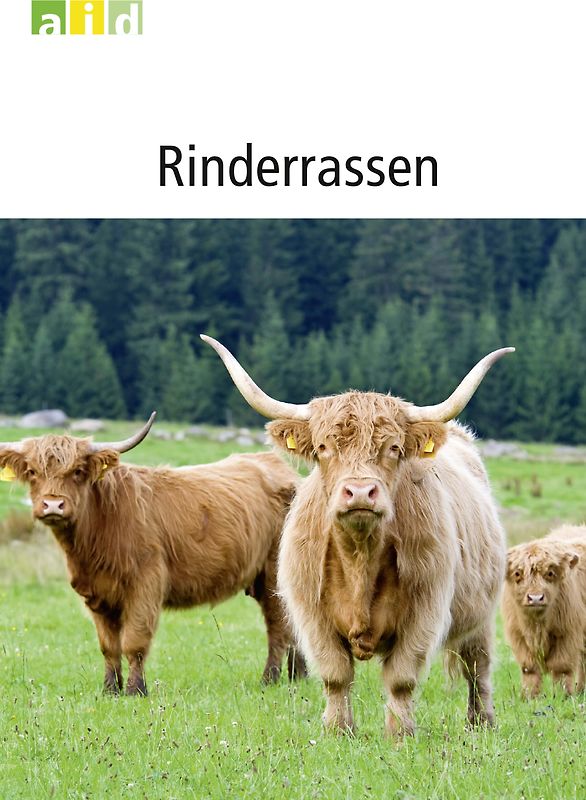 Rinderrassen