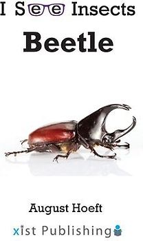 Beetle