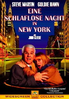 Eine schlaflose Nacht in New York DVD
