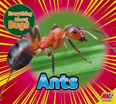 Ants