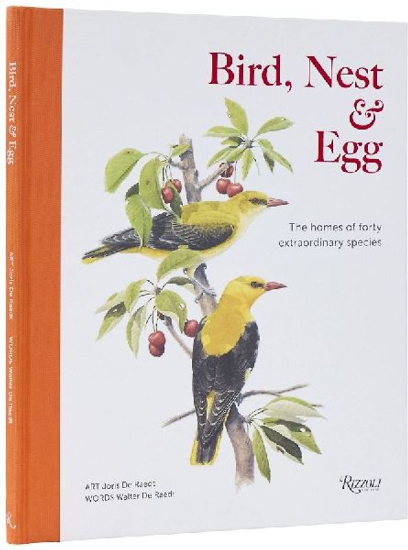 Bird, Nest & Egg