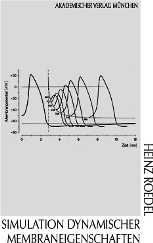 Simulation dynamischer Membraneigenschaften