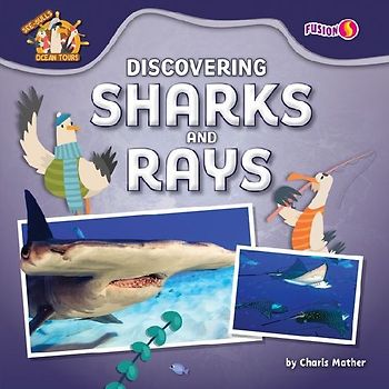 Discovering Sharks and Rays