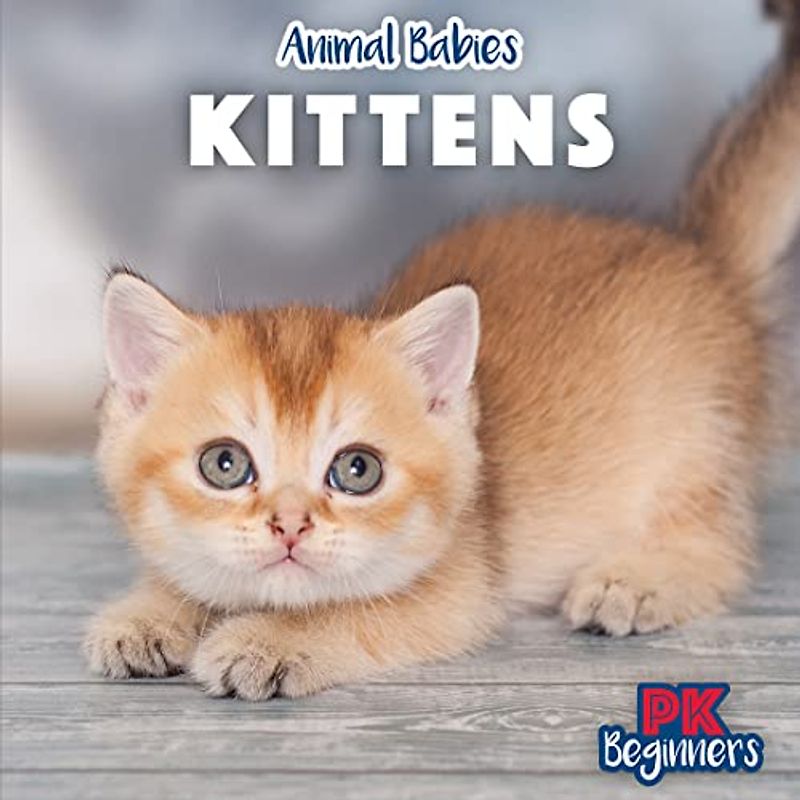 Kittens (Animal Babies)