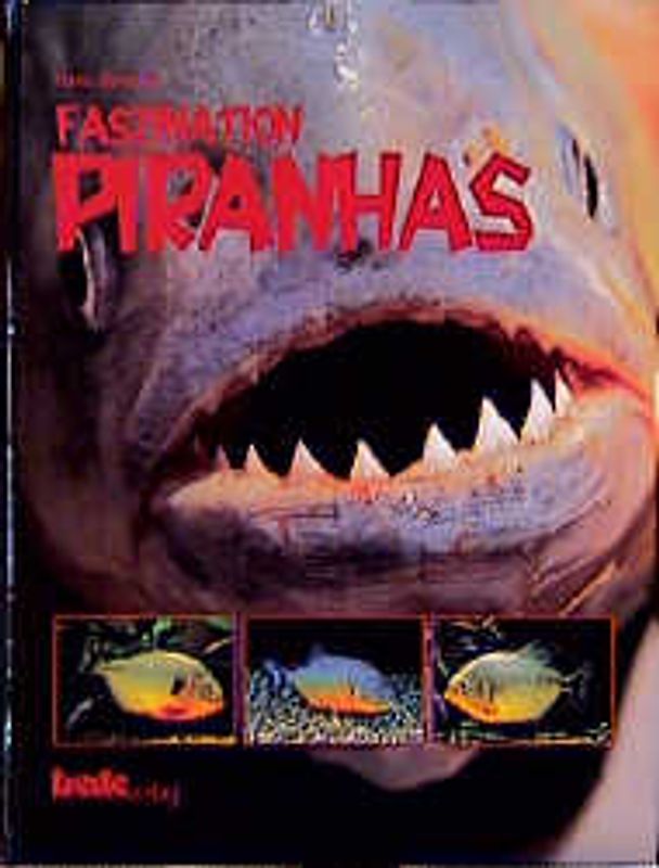 Faszination - Piranhas