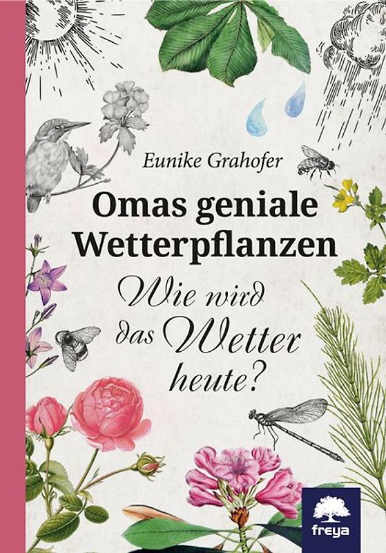 Omas geniale Wetterpflanzen