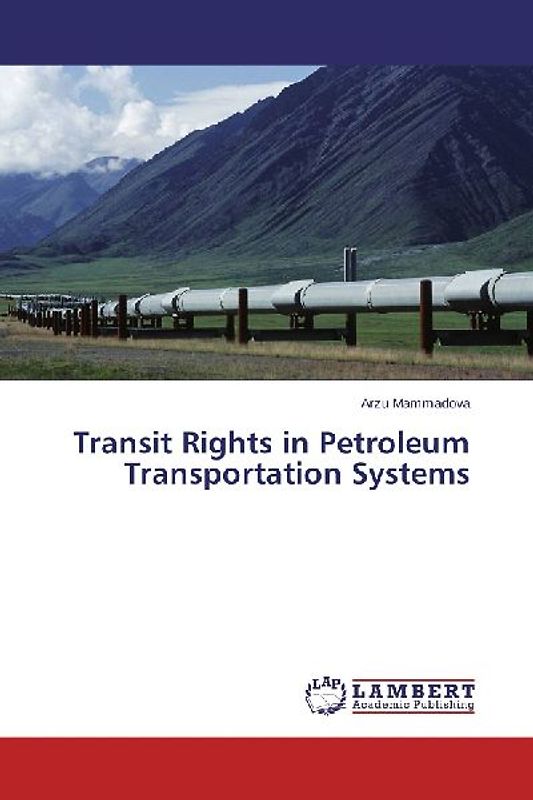 Transit Rights in Petroleum Transportation Systems