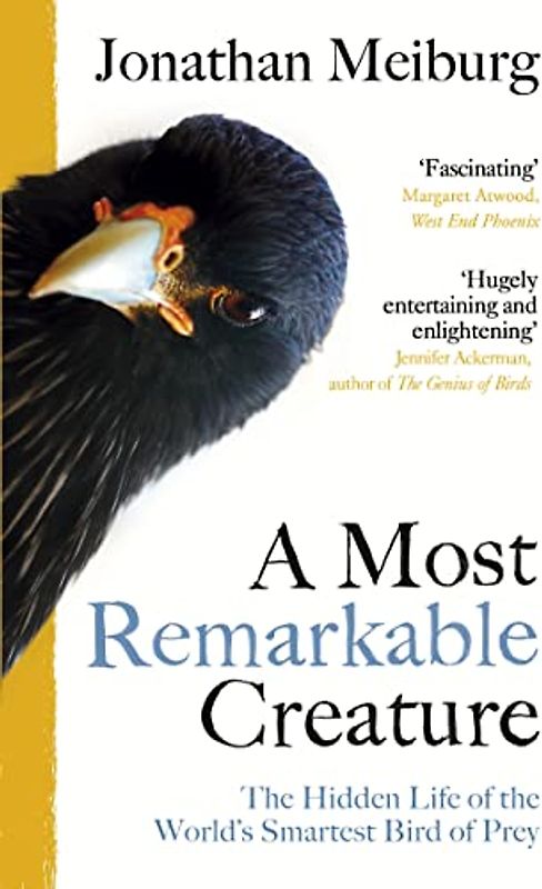 A Most Remarkable Creature: The Hidden Life of the World’s Smartest Bird of Prey