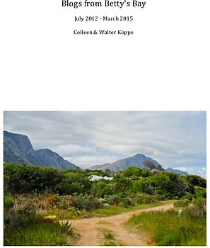 Blogs from Betty's Bay