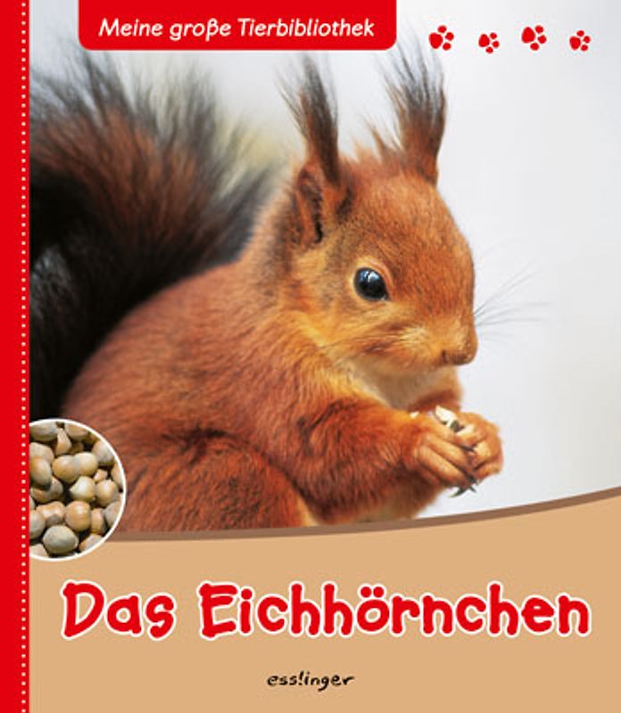 Meine große Tierbibliothek: Das Eichhörnchen